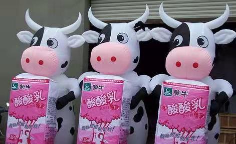 汉台牛奶厂广告气模